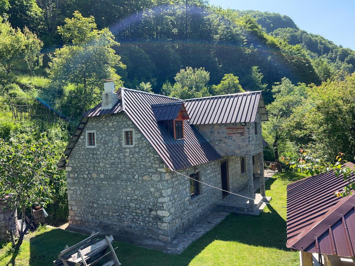 Guest House Gjelaj Theth Esterno foto